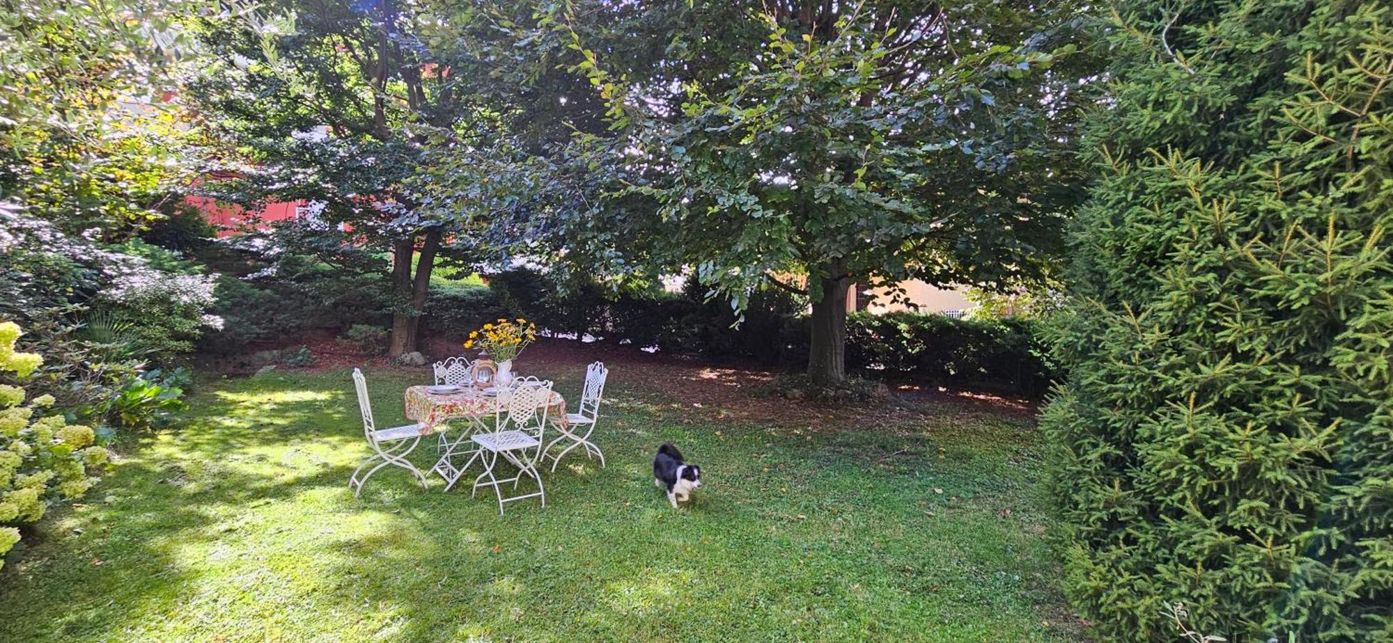 Appartamento Con Ingresso Autonomo, Giardino Privato E Portico Introbio ภายนอก รูปภาพ